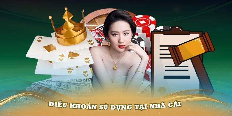 Điều lệ sử dụng app di động rất rõ ràng