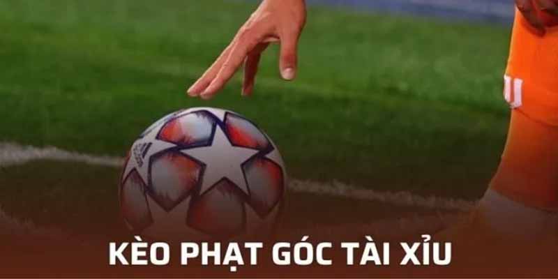 Cược tài xỉu góc thu hút đông đảo người chơi tham gia